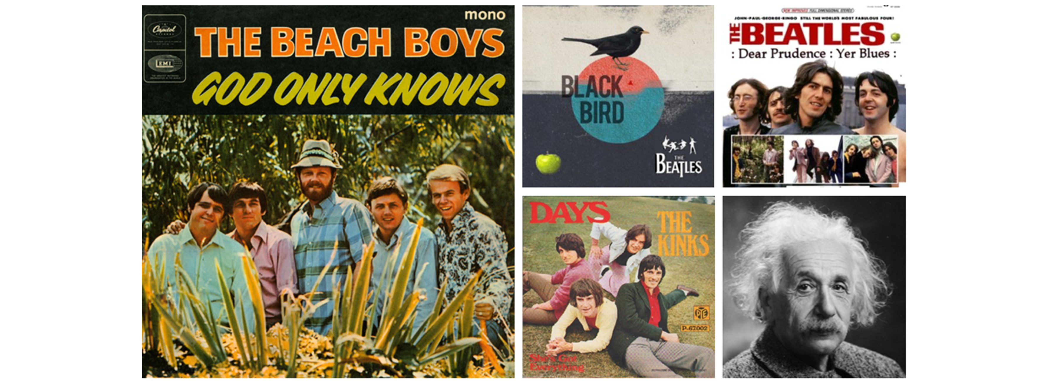 beachboys-beatles-en-einstein2